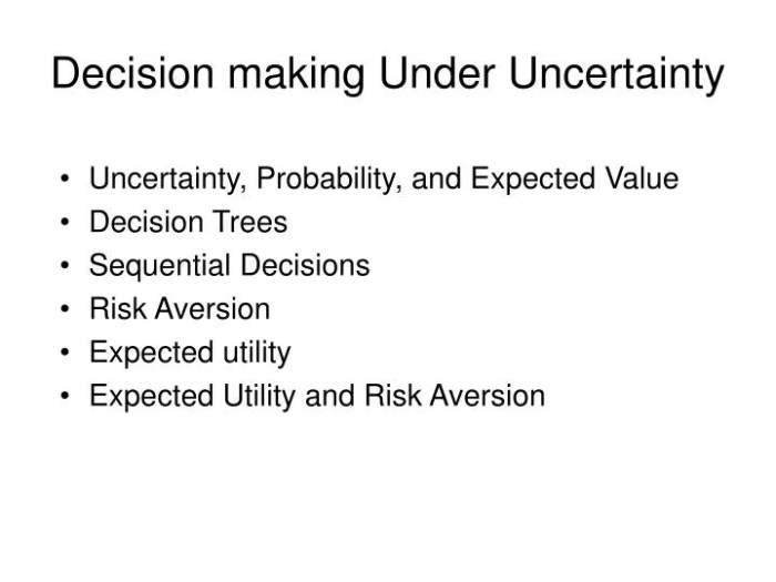 Uncertainty decision risk alexander