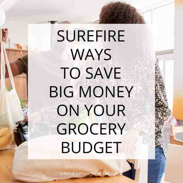 Groceries clever myjoyfilledlife