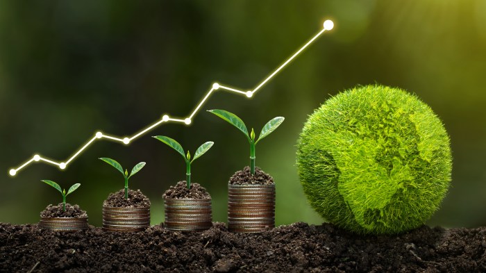 Investment sustainability investors